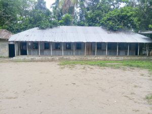 অবিলম্বে একাডেমিক ভবন নির্মাণের দাবি: হারতা বালিকা বিদ্যালয়ের প্রধান শিক্ষকের আকুতি