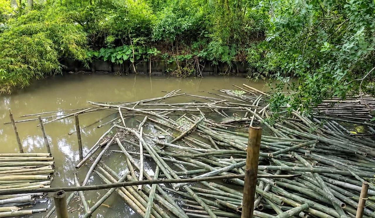 আগৈলঝাড়ায় খাল ও সড়ক দখল করে বেপরোয়া বাঁশ ব্যবসা: চরম জনদুর্ভোগ